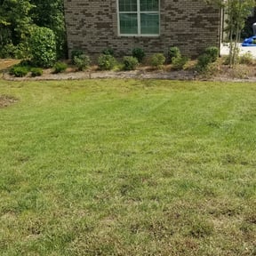 Bush Trimming by Kr lawncare reviewed on August 19, 2025