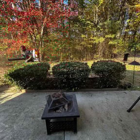 Bush Trimming by Mow-4-U reviewed on November 24, 2025