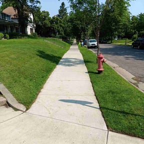 yard service by Lawn stars services reviewed on November 22, 2025