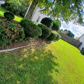 Bush Trimming by Diego Mojica Lawn Care reviewed on October 20, 2025