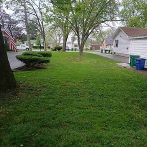 yard work by Myrtle Beach Lawn Care reviewed on August 18, 2025