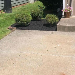 Bush Trimming by JR Landscaping Company reviewed on August 21, 2025