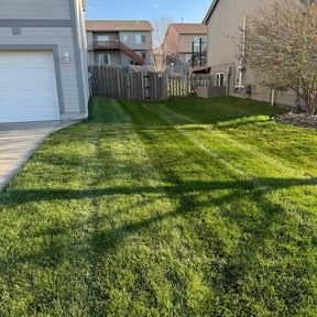grass maintenance by Rodriguez Gardening reviewed on January 8, 2024