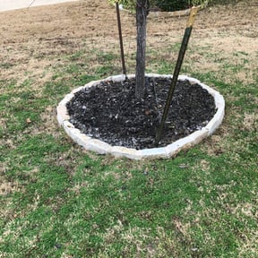 Flower Bed Weeding by Caesar’s Premier Landscaping reviewed on August 15, 2025