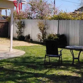 Bush Trimming by RTH Lawn Service & Landscaping LLC reviewed on August 17, 2025