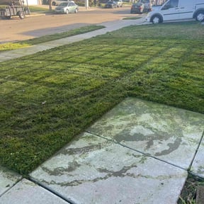 turf care by Gia Mobile Detailing reviewed on March 10, 2024
