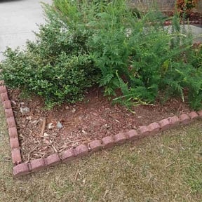 Flower Bed Weeding by Gardens Of eDen lawn service reviewed on November 10, 2025