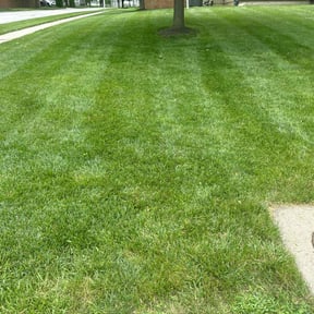 landscaping by Pegasus Property Services reviewed on November 30, 2025