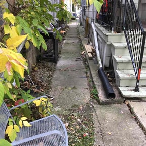 Leaf Removal by Superior lawn care solutions reviewed on November 10, 2025