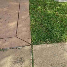 Leaf Removal by Electric City Lawn Care LLC reviewed on June 14, 2026