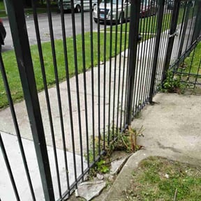 Bush Trimming by C&L landscaping reviewed on August 20, 2025