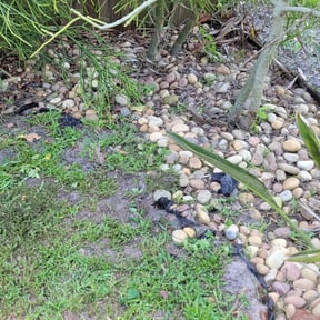 Flower Bed Weeding by Fuse Outdoor Lighting and Landscape reviewed on August 17, 2025