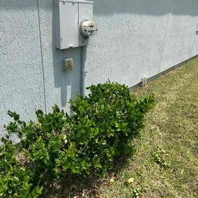 Bush Trimming by Neckbrakering details LLC reviewed on April 12, 2024