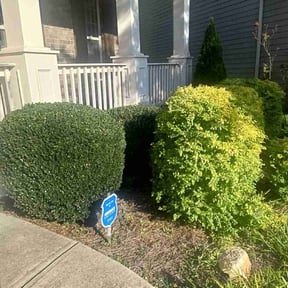 Bush Trimming by Kr lawncare reviewed on March 19, 2024