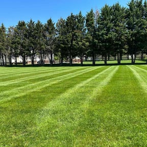 yard care by J.D.L. Lawn Care Services reviewed on August 19, 2025