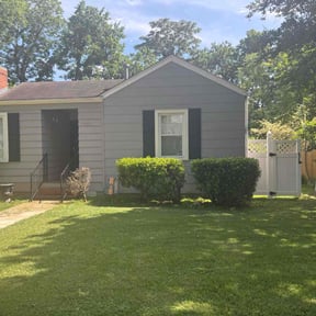 Bush Trimming by David Peters reviewed on August 18, 2025