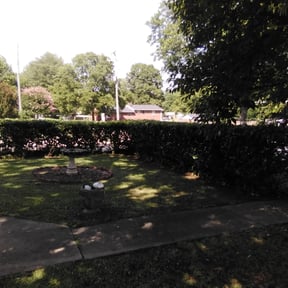 Bush Trimming by Married Mowers reviewed on June 3, 2019