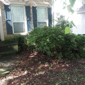 Bush Trimming by Brooks Building Services LLC reviewed on August 21, 2025