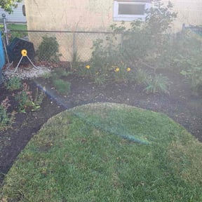 Leaf Removal by Steele Lawn Service, LLC reviewed on September 29, 2025