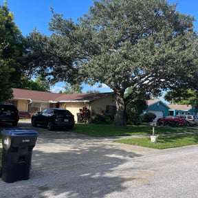 yard maintenance by Trust the process tree&lawn service reviewed on August 15, 2025
