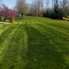 yard care by B&C Landscaping LLC reviewed on August 16, 2025
