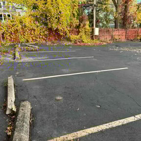 Leaf Removal by fitch-ur lawn service reviewed on September 28, 2025