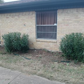 Bush Trimming by WLC Lawn Care reviewed on May 10, 2025