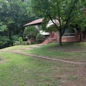 Bush Trimming by J's Elite Contracting Company LLC reviewed on July 25, 2026