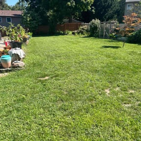 residential landscaping by Top-shelf landscaping reviewed on August 17, 2025