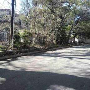 Leaf Removal by Abdu Lawn &amp; Landscape reviewed on March 17, 2026