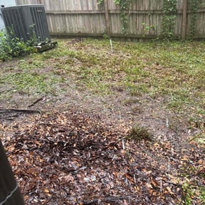 Leaf Removal by Beckford&#039;s Yard &amp; More LlC reviewed on September 6, 2025