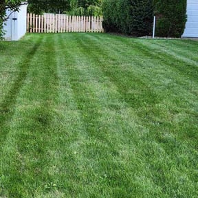 turf care by Township Mowing reviewed on October 29, 2024