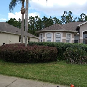 Bush Trimming by A Closer Look Residential Inspections LLC reviewed on August 21, 2025