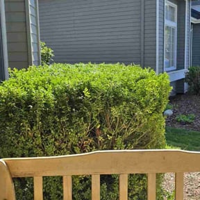 Bush Trimming by Caliber Lawn and Garden reviewed on December 4, 2025