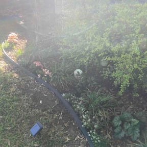 Leaf Removal by Colirium investment llc reviewed on May 21, 2026