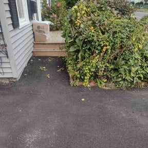 Bush Trimming by Certified Lawn Pro's reviewed on August 13, 2025