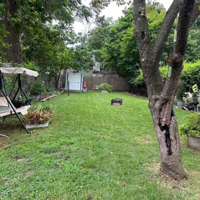 lawn care services by Green Mow Landscaping reviewed on May 12, 2025