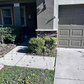 Bush Trimming by Lithium lawn care services LLC reviewed on January 20, 2026