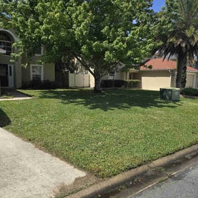 landscaping by Mark Lawn Care reviewed on November 20, 2025