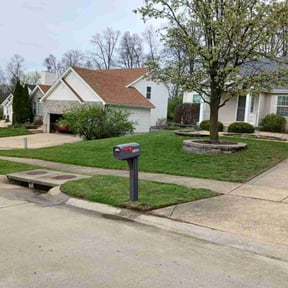 turf care by KHmowing reviewed on May 3, 2025