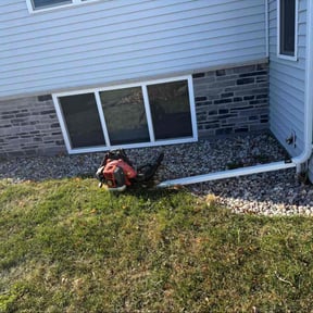 Leaf Removal by The Green Op reviewed on November 19, 2025