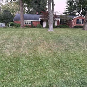 lawn care services by Morales Lawn Care reviewed on December 28, 2023