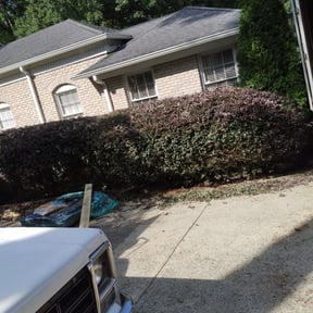 Bush Trimming by David's lawn care reviewed on August 17, 2025