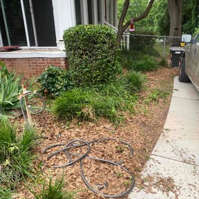Bush Trimming by Brett's Lawn Service reviewed on August 16, 2025