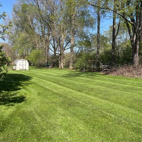 grass maintenance by Stakes Lawncare Service reviewed on August 20, 2025