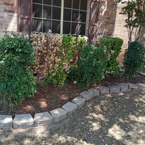 Bush Trimming by Rmp residential services reviewed on November 7, 2025