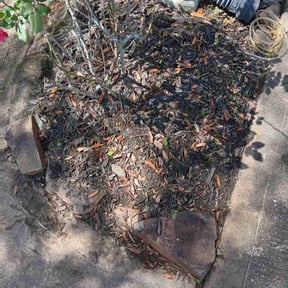 Flower Bed Weeding by Lucky Deals reviewed on August 13, 2025