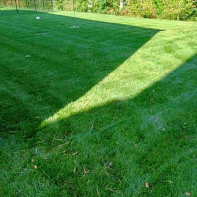 lawn service by Trevol lawn general services LLC reviewed on April 20, 2025