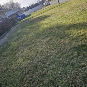 Leaf Removal by Rene Home Services  reviewed on September 28, 2025