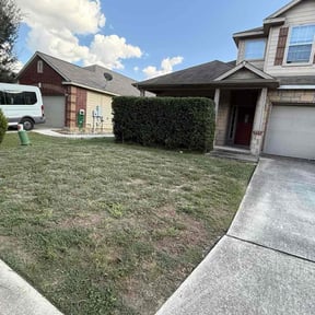 turf maintenance by Pristine cuts reviewed on August 12, 2025